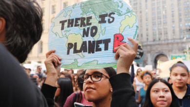 Gen Z, Millennials Stand Out for Climate Change Activism, Social Media Engagement With Issue