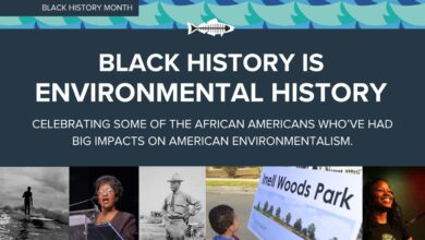 Black History is Environmental History