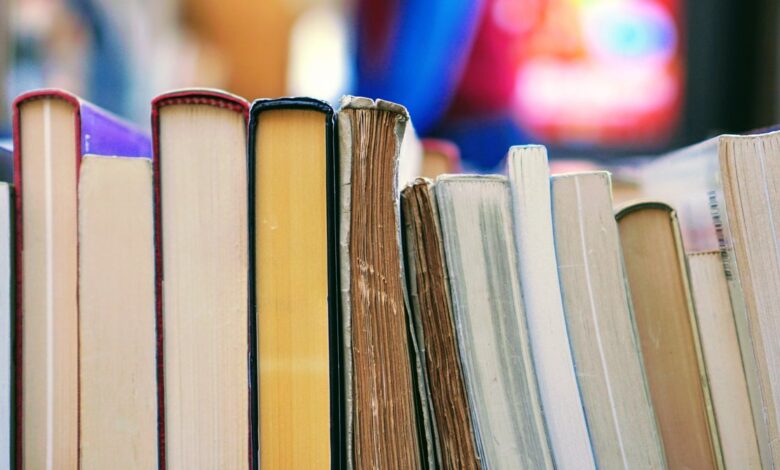 7 Key Life Lessons for Global Citizens From bell hooks’ Books 7 Key Life Lessons for Global Citizens From bell hooks’ Books