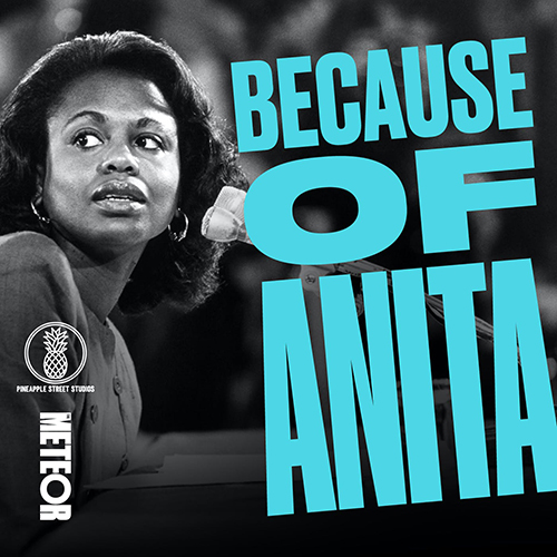 BecauseOfAnita